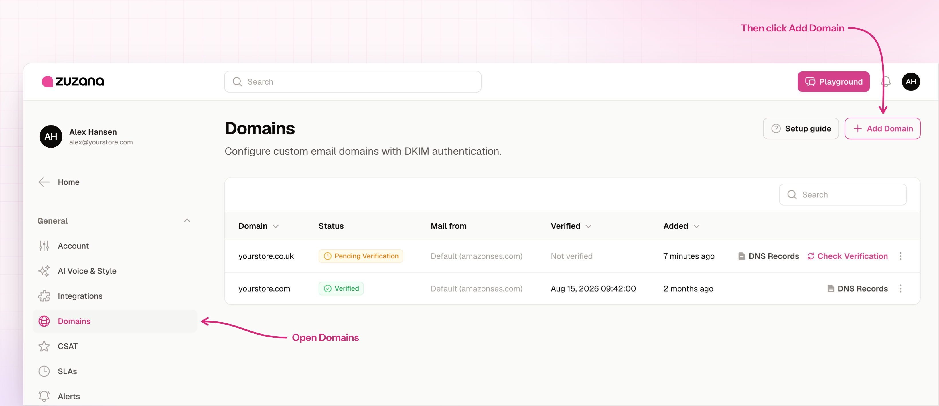 Settings with Domains open and the Add Domain button